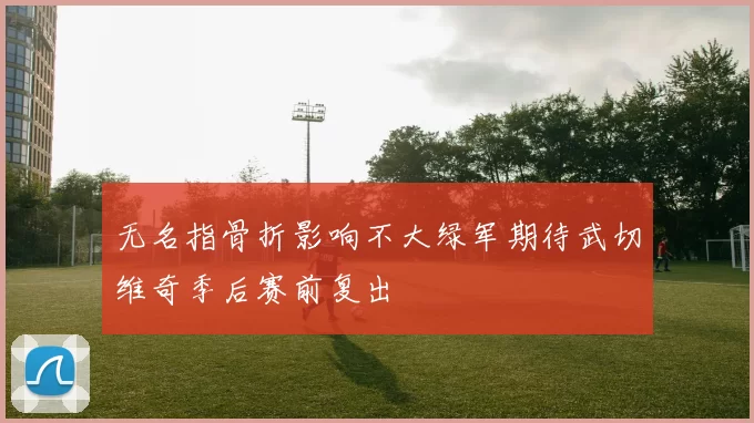 无名指骨折影响不大绿军期待武切维奇季后赛前复出